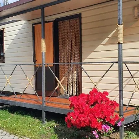 Italia 90 * דומאסו